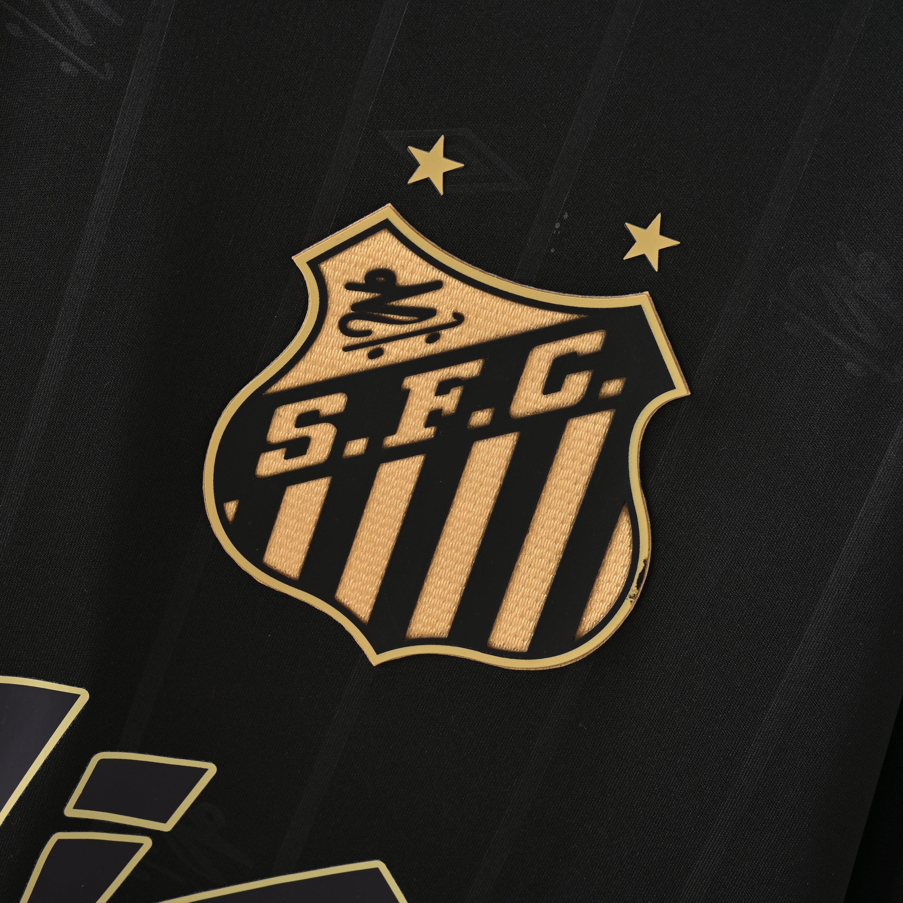 Santos 24-25
